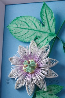 RÓŻNE - quilled-passionflower-closeup.jpg