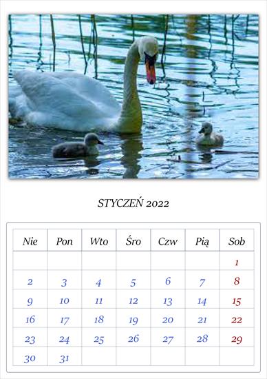Kalendarz łąbędzie - APC_Calendar - 2021.11.26 19.27 - 009 - 2022 01.png