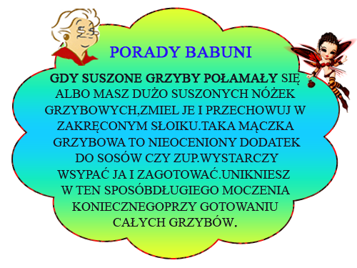  Poradnik Babuni - Bez nazwy 116.png