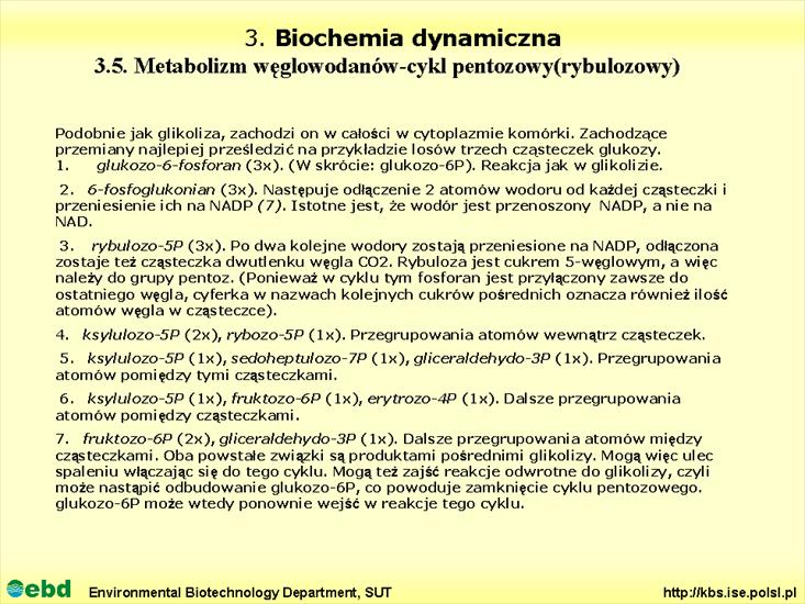 BIOCHEMIA 4- metabolizm tł, cukr, amino, Krebs - Slajd13.TIF