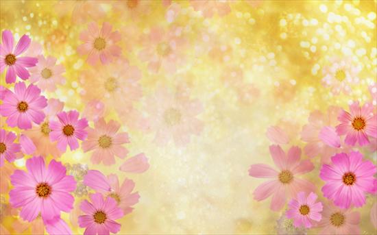 Backgrounds - Tla - Flower-Art-1920x1200.jpg