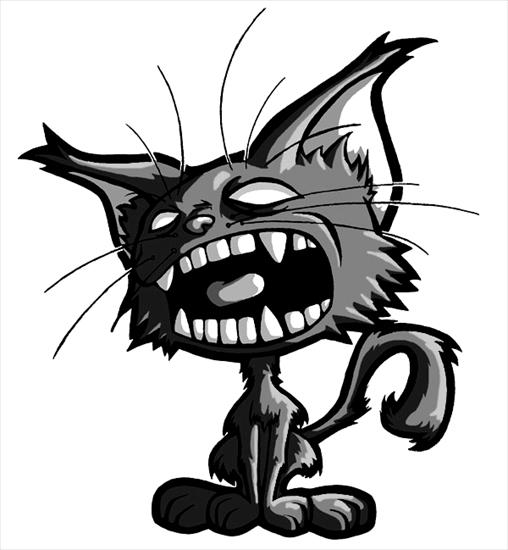 Koty, Cats - Tac_the_Psychotic_Cat.jpg