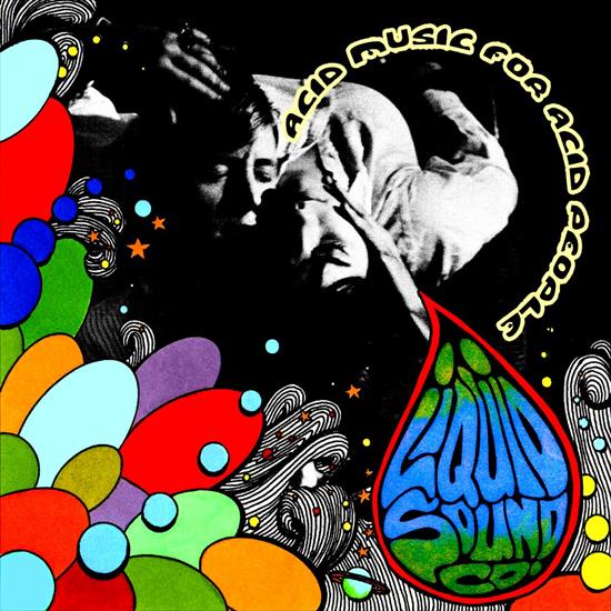 2011 - Acid Music for Acid People - cover.jpg