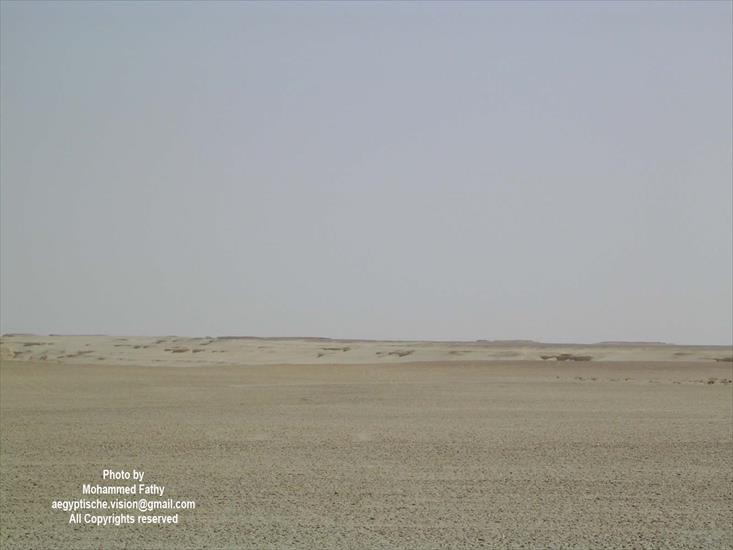 Desert - Desert 102.jpg