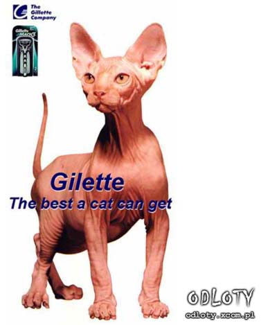 Śmieszne - Gilette.jpg