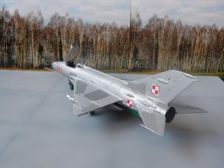 MiG-21 F13 - 8-2.jpg