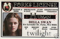 Dokumenty Cullen i nie tylko - licencja-Bella.JPG