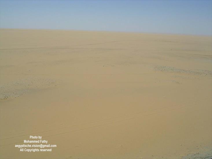 Desert - Desert 79.jpg