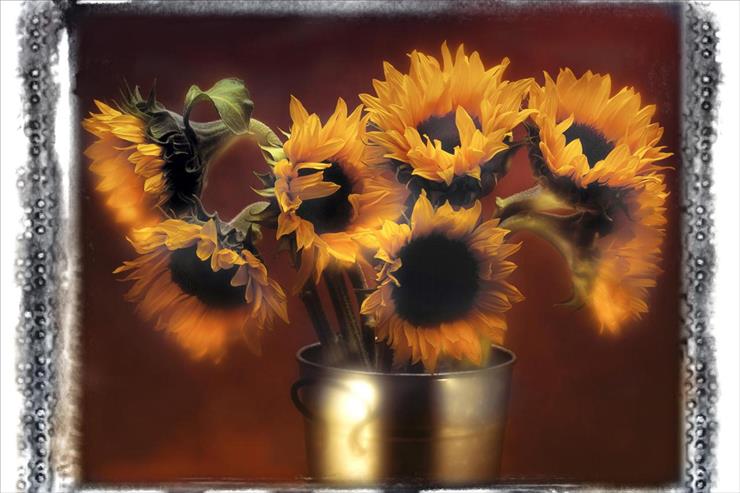 Tapety - Artful Sunflowers.jpg
