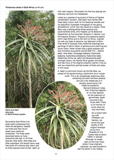 poisonous aloe species - Screen Shot 2020-09-18 at 5.59.16 PM.png