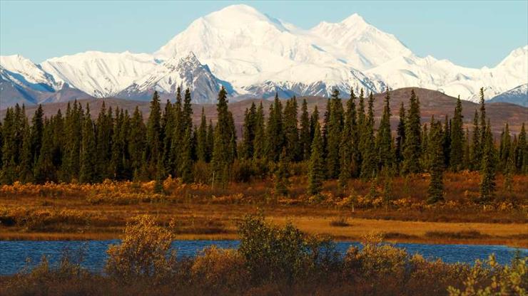Natura - Denali-Alaska.jpg