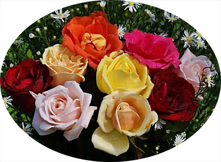 bukiety 3 - colorful_rose_bouquet-dsc01623-crop.jpg