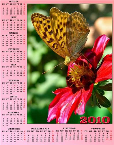 Kalendarze z motylkami - Bez nazwy 291.jpg