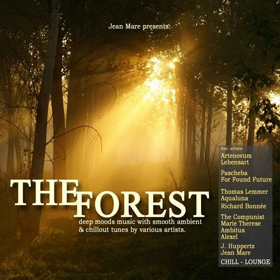 V. A. - The Forest Deep Moods Music With Smooth Ambient  Chillout Tunes, 2012 - cover.jpg
