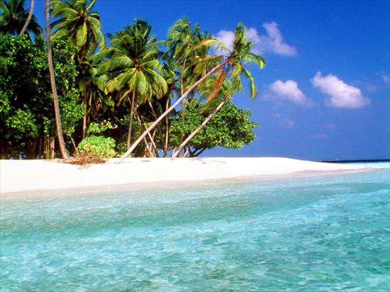 26 Landscapes różne - Trade Winds, Maldive Islands.jpg