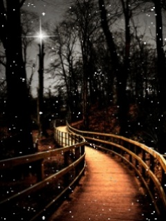 widoczki - Bridge_At_Night.jpg