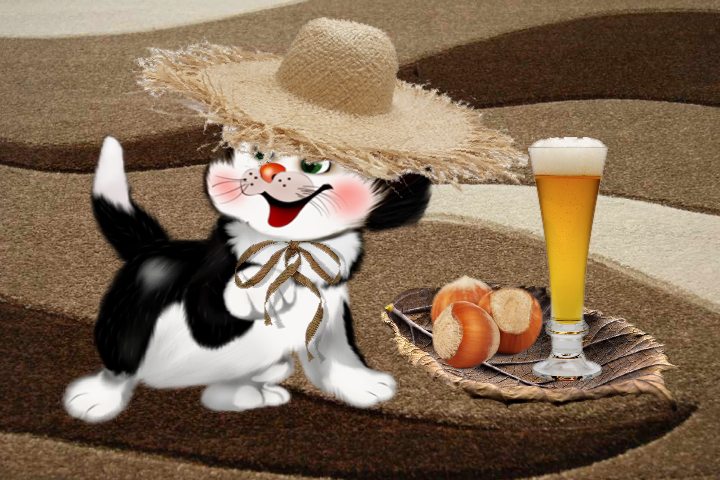 Tapety - Kot w kapeluszu  - seria - Tapeta   - lato.png